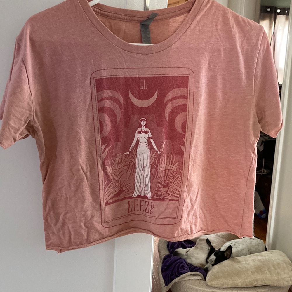 Women's Dusty Rose Graphic Crop Tee